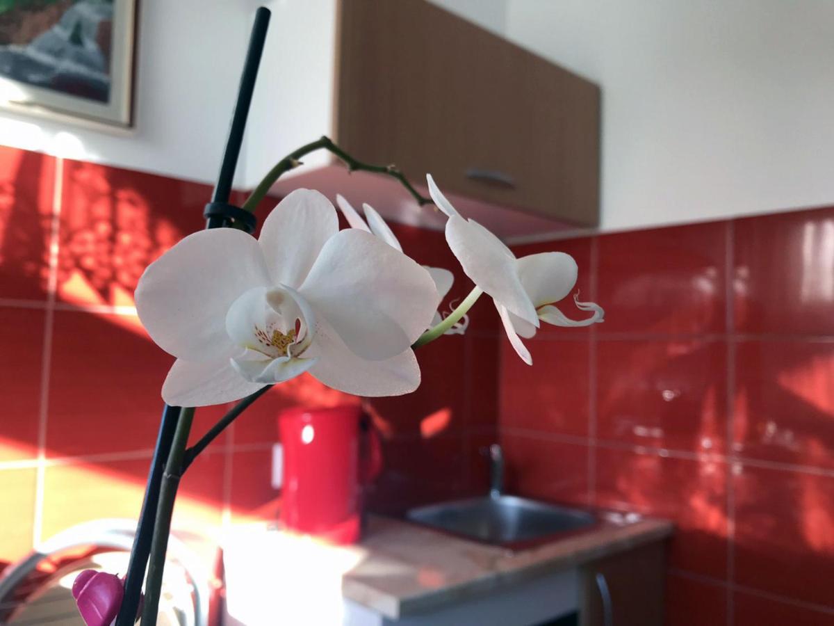 Soba Milica Hotell Palić Exteriör bild